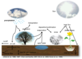 Diagram of the water cycle