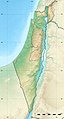 Israel and Palestine region relief.