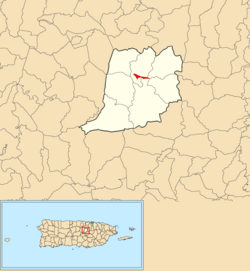 Location of Naranjito barrio-pueblo within the municipality of Naranjito shown in red