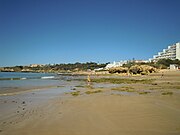 Looking west along the beach at low tide