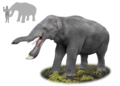 Image 11Platybelodon ("flat-spear tusk") was a genus of large herbivorous mammals related to the elephant (order Proboscidea). It lived during the late Miocene Epoch in Asia and the Caucasus.