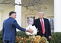 2019年11月26日，美国总统唐纳德·特朗普所赦免一只名为“奶油”（Butter）的火鸡