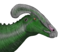 Profile of Charonosaurus jiayensis.