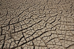 Cracked earth in the Rann of Kutch