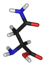 3D structure of Asparagine