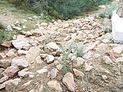 Camp Reno ruins.