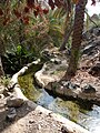 Falaj irrigation channel in Wadi Tiwi