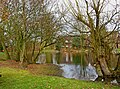 One of the Ponds on Westfield Common