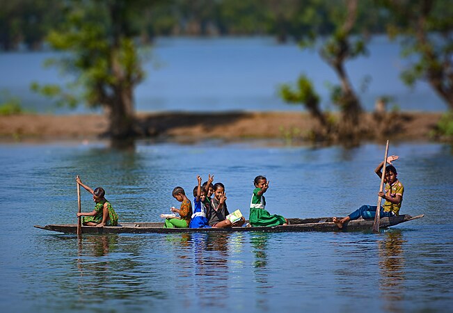 图为在孟加拉罗塔古尔沼泽森林的绍里戈约因河上泛舟的孩童。今天是孟加拉历的新年。