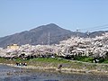 比叡山（都富士）