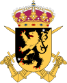 Skaraborgs regemente (P4 / Fo 35) 1942-1994 Skaraborgsbrigaden (PB 9 / MekB 9) 1994-2000 Skaraborgs regemente (P4) 2000-