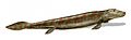 Image 70Tiktaalik, a fish with limb-like fins and a predecessor of tetrapods. Reconstruction from fossils about 375 million years old. (from History of Earth)