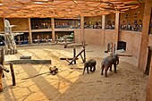 Elephants pavilion