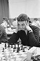 Hoogovens chess tournament 1964
