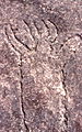 Rock engravings in Terrey Hills