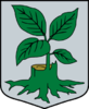 Coat of arms of Litene Parish