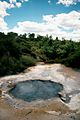 Ngararatuatara (cooking pool) hot spring