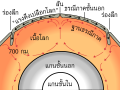 ไทย • 泰语