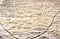 Petroglyph of a whale, Bondi