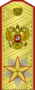 Marshal of the Russian Federation