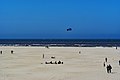 Image 61Beach of Texel (from List of islands of the Netherlands)