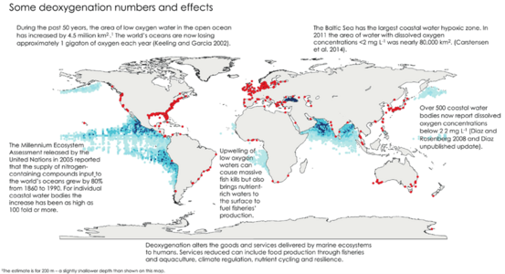 Oxygen minimum zones (OMZs) (blue) and areas with coastal hypoxia (red) in the world's ocean[51]