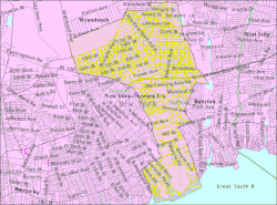 U.S. Census map