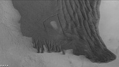 施密特坑中的沙丘和尘暴痕迹（纤细的黑线），注：这是前一照片的放大版。