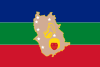 亚马逊州旗帜