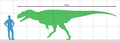 锐颌龙与人类的体型比较