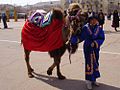 身着民族服装的哈萨克男孩在拜科努尔庆祝诺鲁孜节