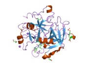 1ype: Thrombin Inhibitor Complex