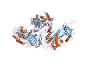 2hi9: Crystal Structure of human native protein C inhibitor