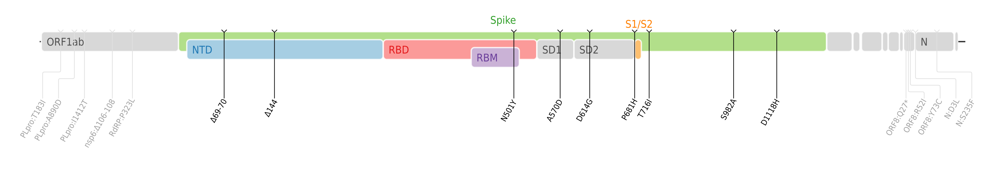 SARS-CoV-2 阿尔法变异株的氨基酸突变绘制在SARS-CoV-2的基因组图上[12]