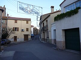 A view within Villelongue-Dels-Monts