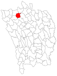 Location in Vaslui County