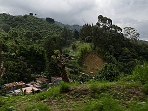 Asseri Costa Rica 2011.jpg