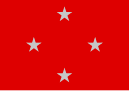 巴西隆德里纳市旗