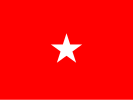 Flag of an Army brigadier general