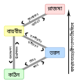 বাংলা • 孟加拉语