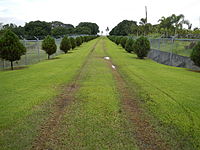 Green entrance to the Memorial with mango trees