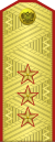 Colonel General