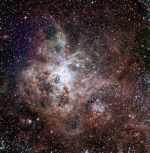 First light of the Tarantula Nebula by TRAPPIST