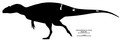 New skeletal diagram of Veterupristisaurus milneri