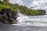 Crashing wave and vegetation