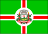 Flag of Monte Alegre, Pará