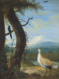 A bustard and a magpie in an exotic landscape