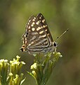 於 2011年10月26日 (三) 04:52 版本的縮圖