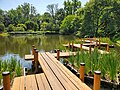 An Eight Bridges (yatsu-hashi) design in the Seiwa-en Area of the Missouri Botanical Garden in 2023