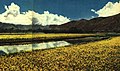 1962-04 1962年 西藏拉萨田野